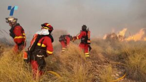 11 загинати и 19 исчезнати во голем шумски пожар во Шпанија