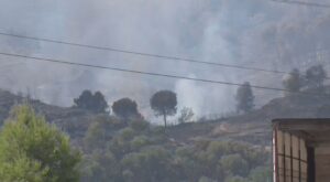 Најмалку 12 загинати во шумски пожар во Шпанија – огнот избувнал за време на топлотниот бран